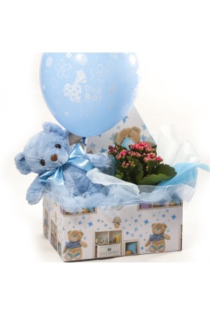 New Baby Gift Sets