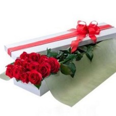 12 red roses gift box