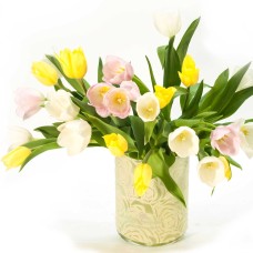 Fresh tulips arranged in a vase