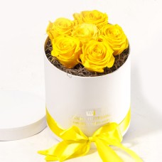 Forever Roses Yellow