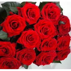 Twelve red roses bouquet